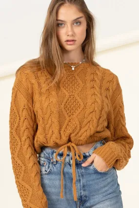 Jr Sweater Crop Tie Bottom - Brown