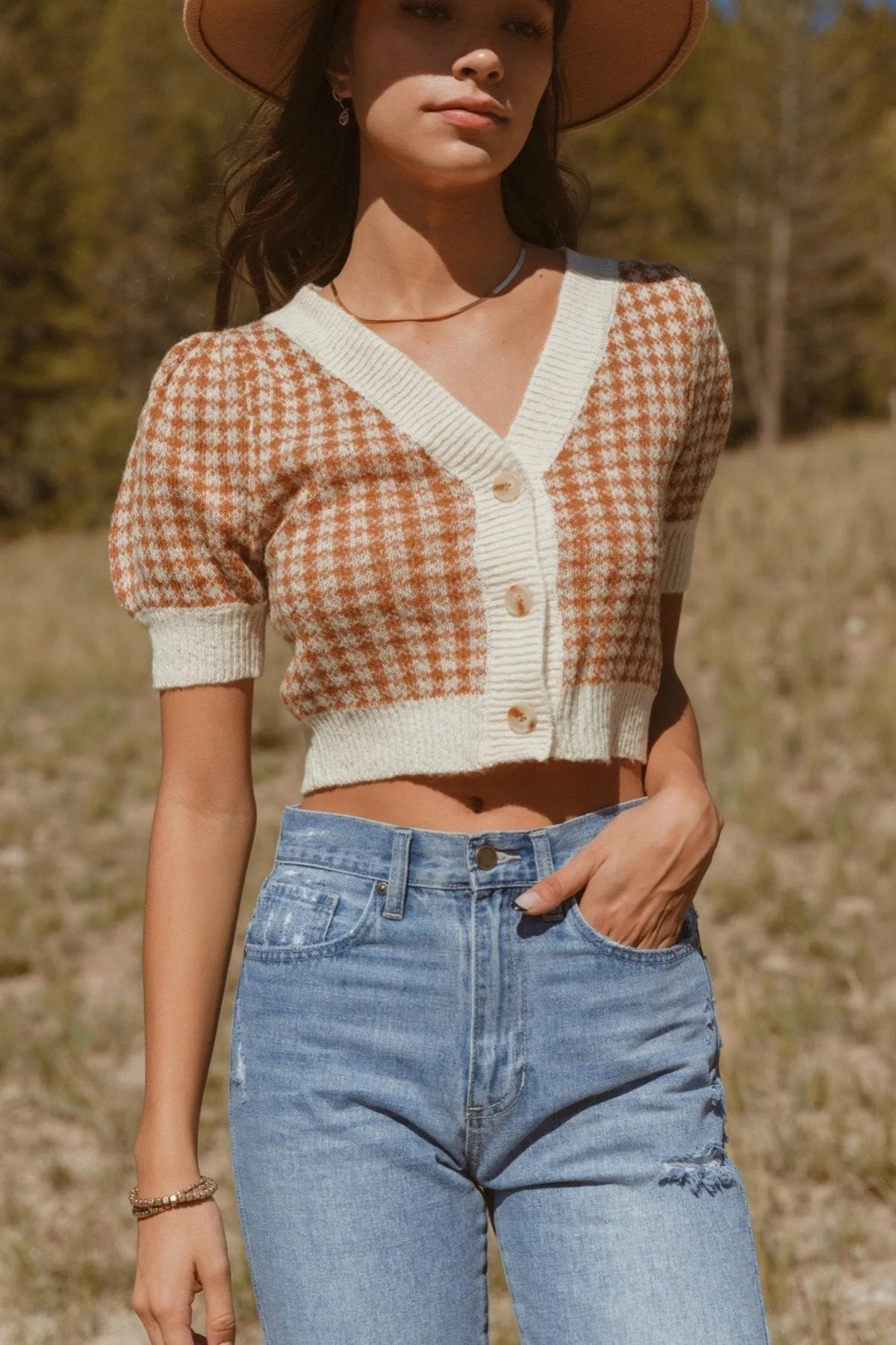 Plaid Short Sleeve Crop Sweater