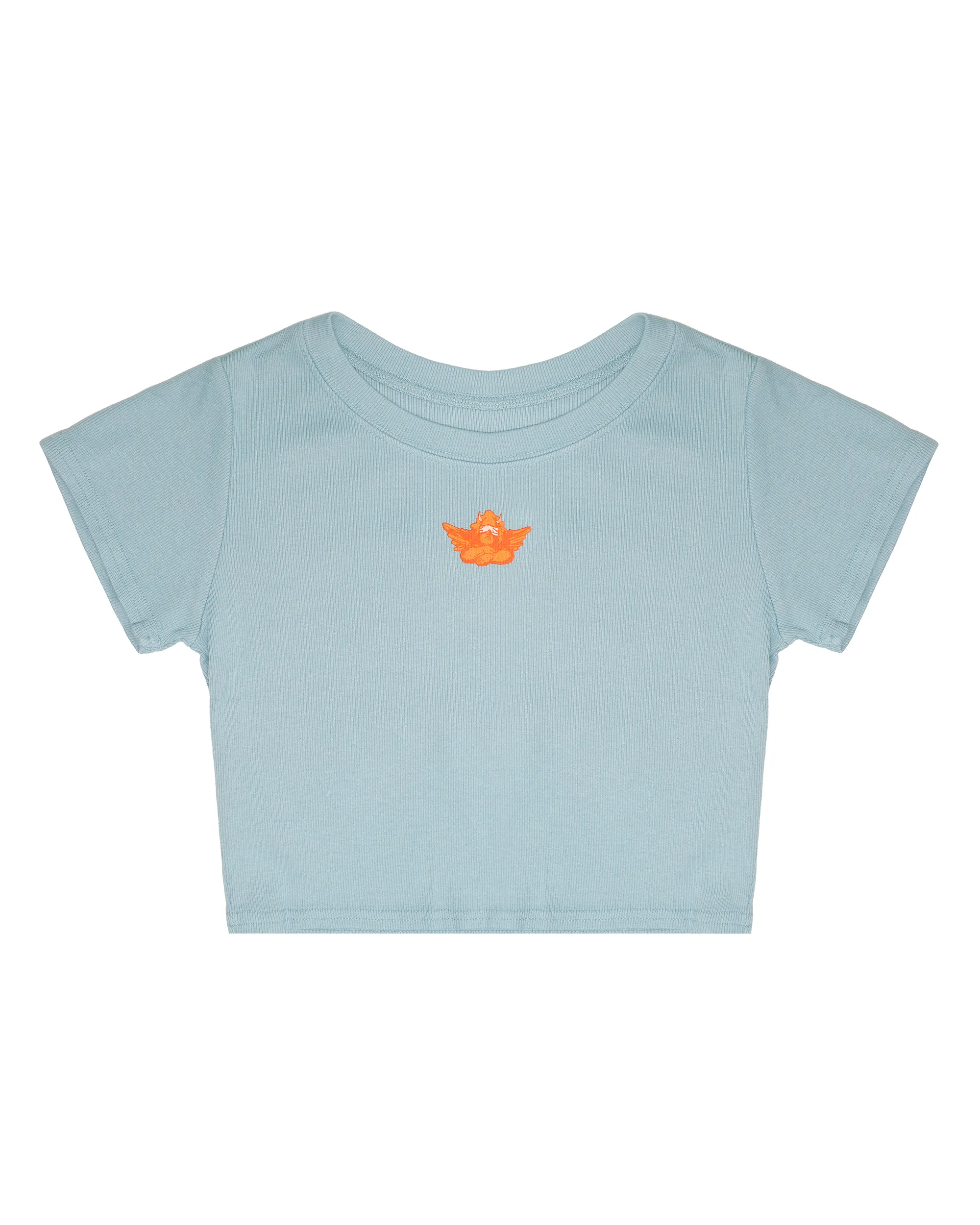 Where It Begins Crop Tee